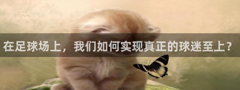 意昂体育4平台注册流程视频：在足球场上，我们如何实现