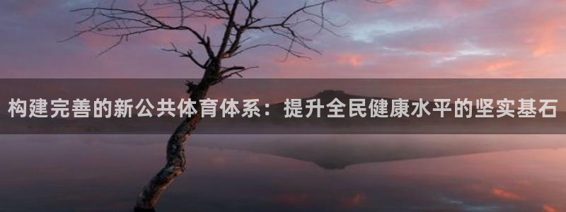 意昂体育4联系电话：构建完善的新公共体育体系：提升全