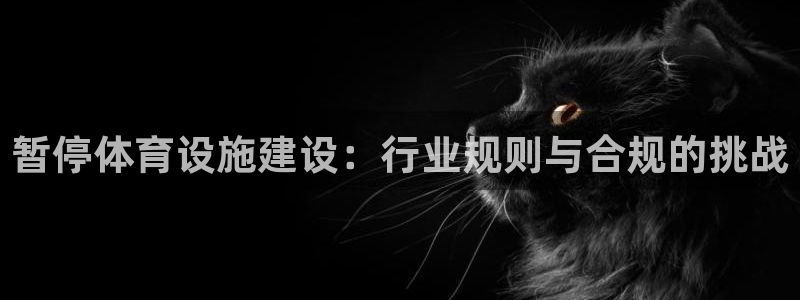 意昂体育4平台：暂停体育设施建设：行业规则与合规的挑
