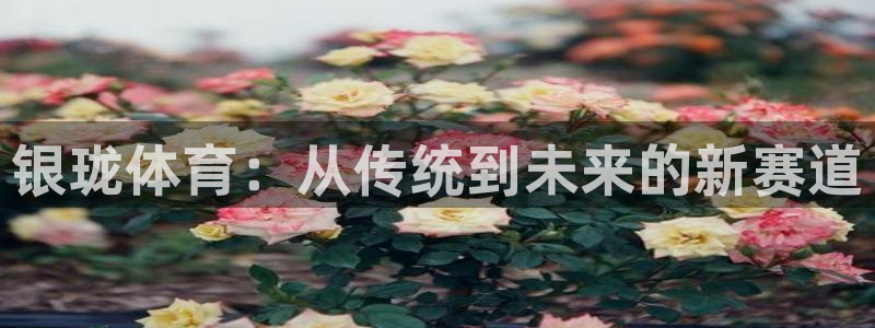 意昂体育4招商电话是多少：银珑体育：从传统到未来的新赛道